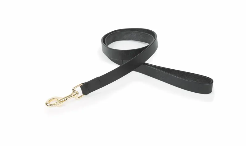Digby and Fox Flat Leather Dog Lead in Black Small